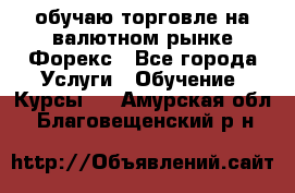 обучаю торговле на валютном рынке Форекс - Все города Услуги » Обучение. Курсы   . Амурская обл.,Благовещенский р-н